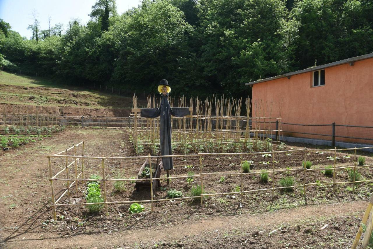 فيلا باليسترينافي Agriturismo Casale Pepe المظهر الخارجي الصورة